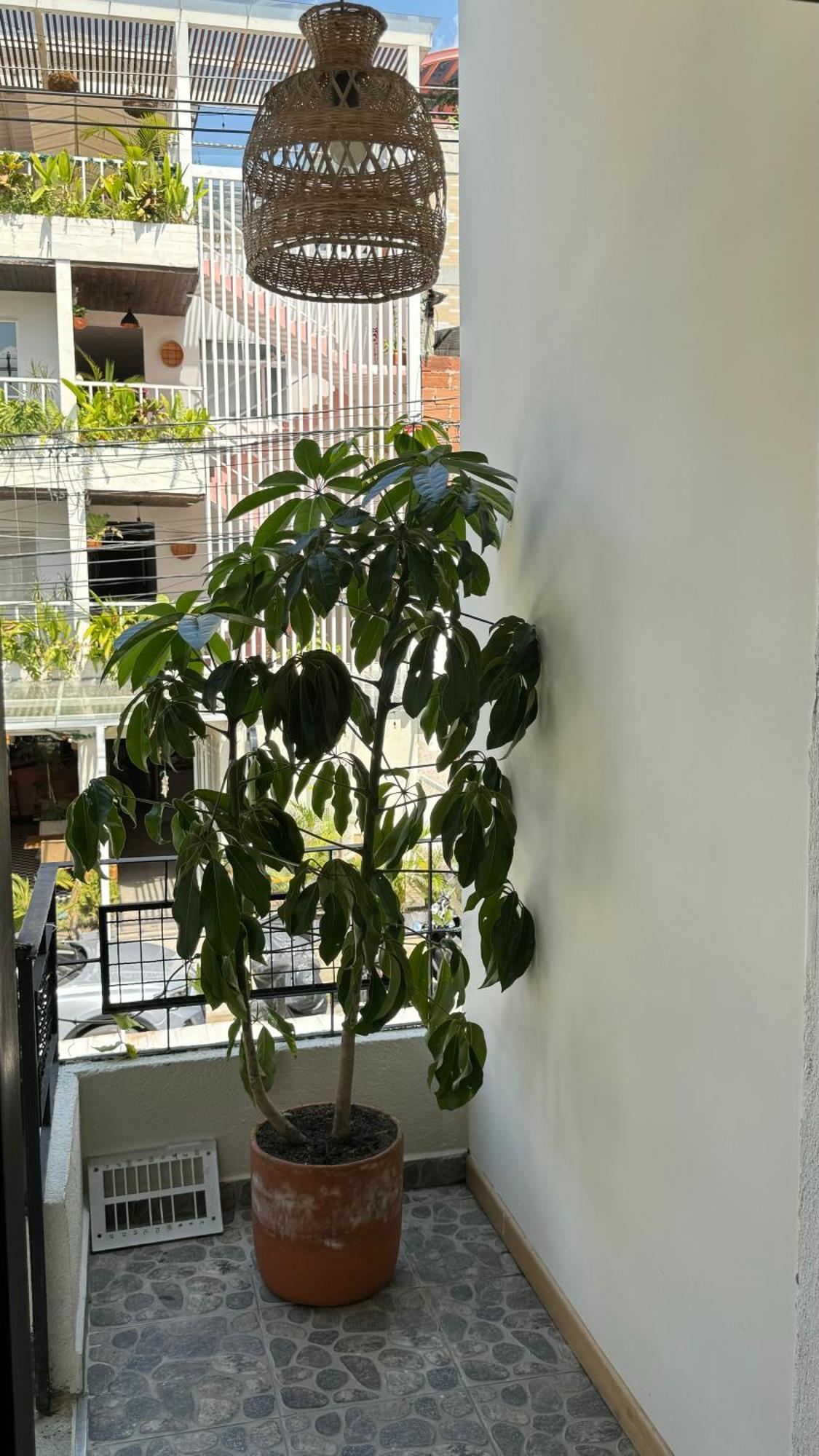 Luum Casa Hotel Manila Medellín Kültér fotó